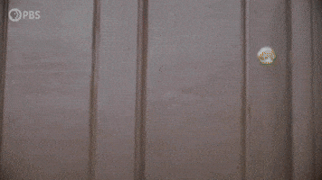 Episode 8 Hello GIF by PBS