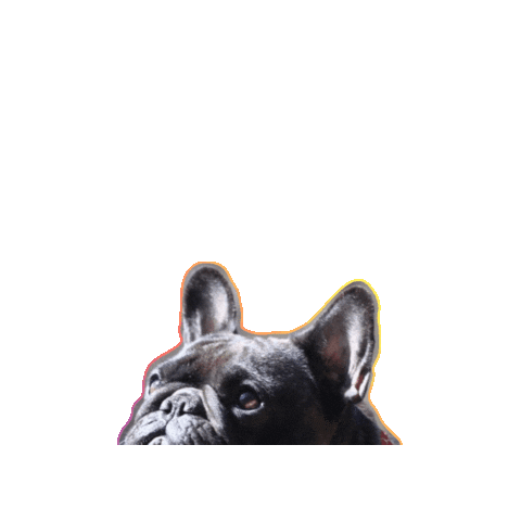 Sticker by CollarCrafts