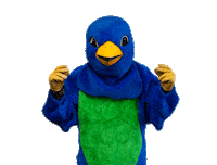 Skiing Snowboarding Sticker by Snowbird