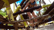 survivorau GIF by Australian Survivor