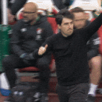 Premier League Thumbs Up GIF by AFC Bournemouth