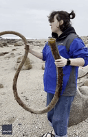 Marine Biologist Turns Bull Kelp Into Handy Horn