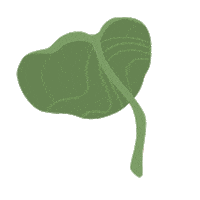 Studio Ghibli Sticker by molehill