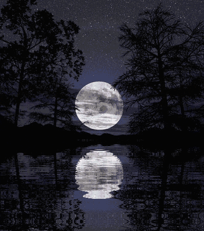 stars GIF
