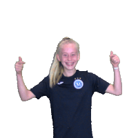 Futsal Sticker by Eredivisie Vrouwen Zaalvoetbal