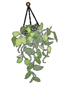 Theplantdoctors plant leaf hanging plant plant doctors Sticker