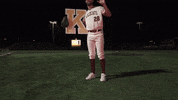 Pearl River Baseball GIF by Pearl River Athletics