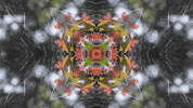 Art Film GIF by jorgemariozuleta