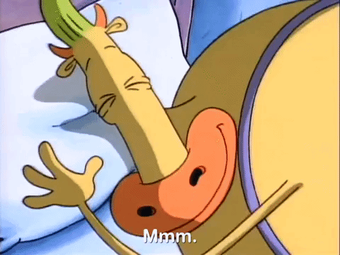 rockos modern life nicksplat GIF