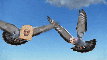 Rooster Teeth Wtf GIF by Achievement Hunter