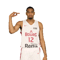 Sport Basketball Sticker by JL Bourg