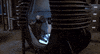 the fly teleportation GIF