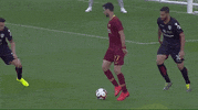 javier pastore wow GIF by AS Roma