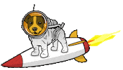 Sebeboekhouders dog space hond boekhouder Sticker