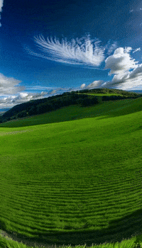 Sa Satisfy GIF by Aleksey Efremov