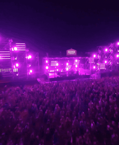 Amelie Lens Party GIF by Glitch Festival