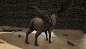 poop survival GIF