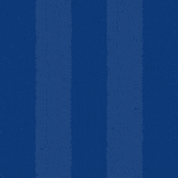 Football Goal GIF by Odense Boldklub