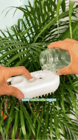 henryaleortega giphygifmaker GIF