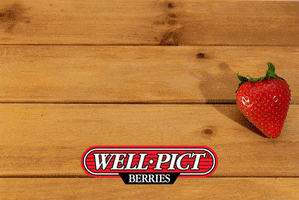 WellPict well true taste strawberries GIF