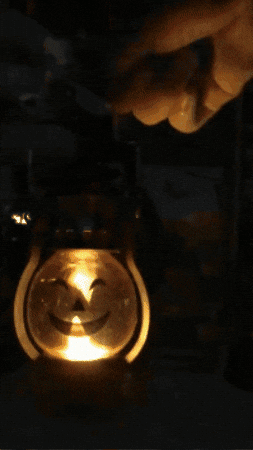 Gif animado