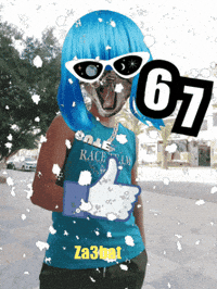 Cat GIF