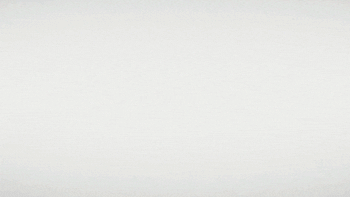 Lets Go Reaction GIF by PG Tips