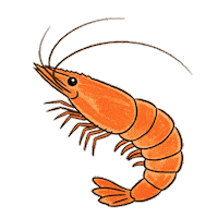 Shrimp Seafood Sticker by Rikimaru_Group