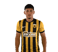 Αεκ Sticker by AEK FC