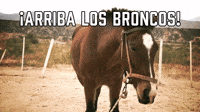 ¡Arriba Los Broncos!