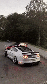 outofluck_club subaru mustang stance slammed GIF