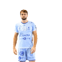 cchartresmhb sport handball balonmano lnh Sticker