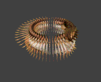 zoetrope GIF by Leon Denise