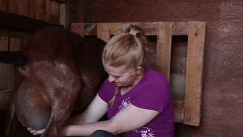 delciplouffe giphyupload GIF