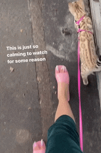 Exoticcancer Stripperheels GIF by Trés She