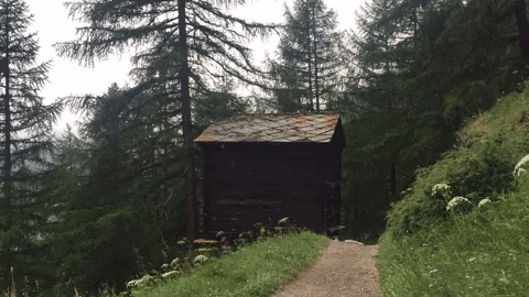 Londynka giphygifmaker GIF