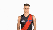 essendonfc dons bombers essendon ridley GIF
