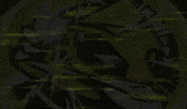 انمي GIF
