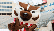 WisconsinSchoolOfBusiness  GIF