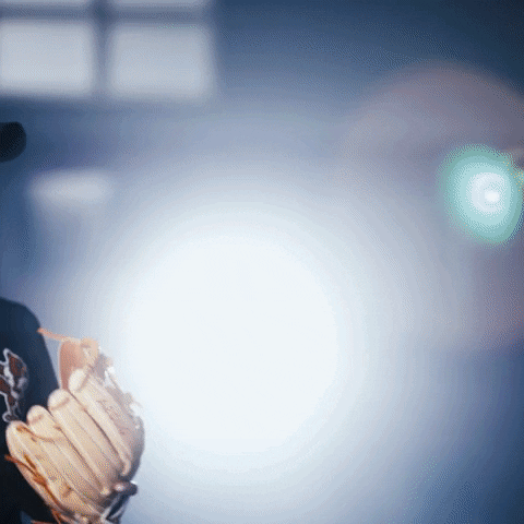 University Of Louisville Softball GIF by Louisville Cardinals
