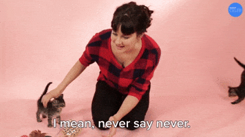 Never Say Never