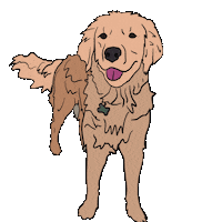 creeksidepetboarding cat dog pet petlover Sticker