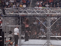 wwe sports wwe wrestling 2001 GIF
