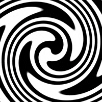 Revolve Black And White GIF