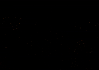 Blackfridayyy GIF by karraii