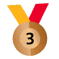 Bronze Medal Sticker by WorldSkills