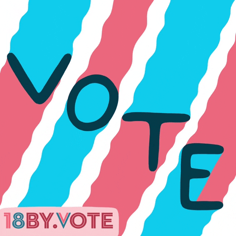 18byvote 2020 vote election voter GIF