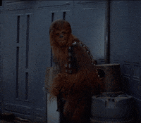 no GIF