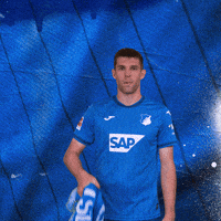 Sport Bundesliga GIF by TSG Hoffenheim