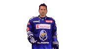 Hokej Plekanec Sticker by Rytíři Kladno